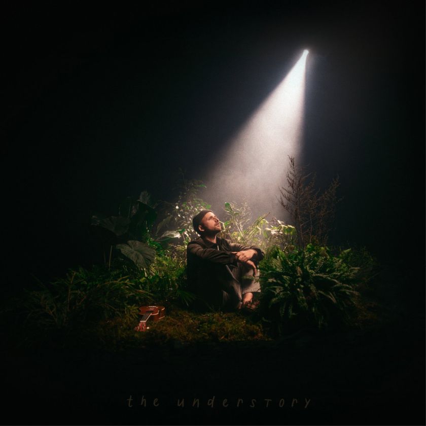 andris_mattson_the_understory.jpg
