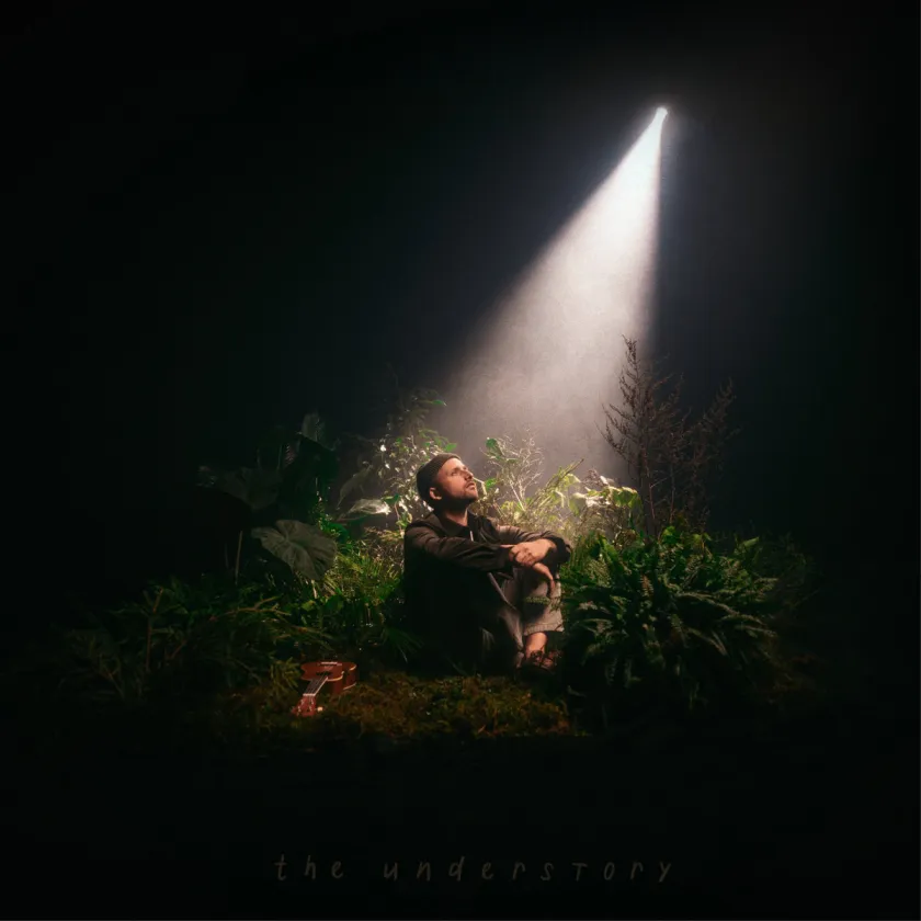 andris_mattson_the_understory.jpg