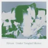 djrum-under-tangled-silence.jpg